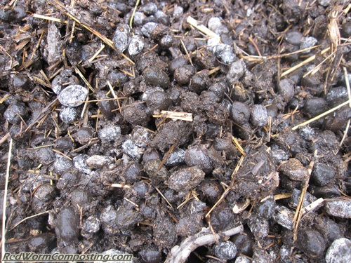 Alpaca Manure