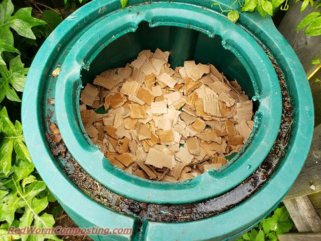 Backyard Vermi-Filtration – 7-07-20 - Red Worm Composting