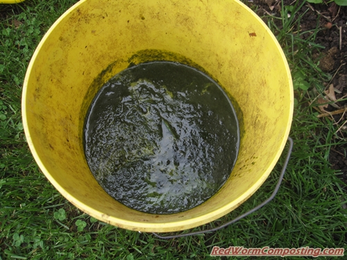 Hay Bale Vermigardening - Red Worm Composting