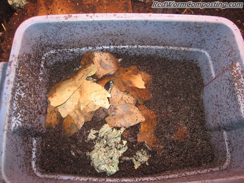 How To Compost Dryer Lint - Is Dryer Lint Beneficial To Compost