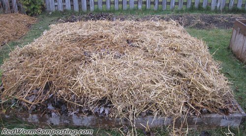 Sandbox Worm Bed - Ready for the Snow