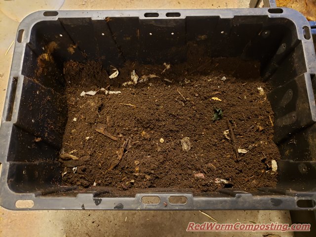 Vermicomposting – Our First Worm Box – Zerbert