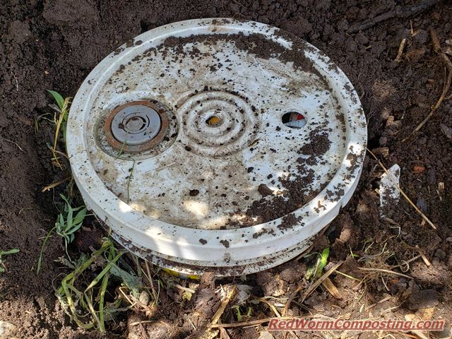 Basic In-Ground Bucket Worm Bin