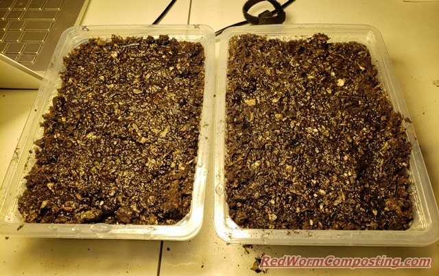 Worms in Microgreens Trays? - Red Worm Composting